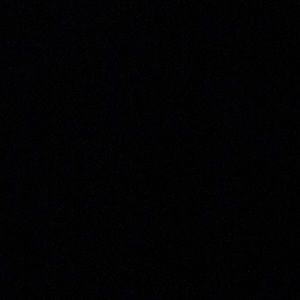 Meet your Posher, Angelica